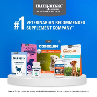Nutramax Cosequin Maximum Strength Joint Health Supplement for Dogs with MSM and Hyaluronic Acid, 180 Chewable Tablets